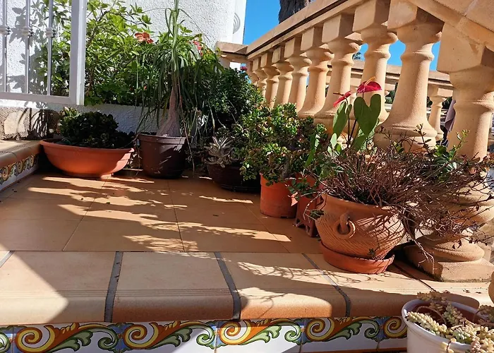 Casa Si No Si